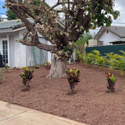 RESIDENTIAL LANDSCAPING